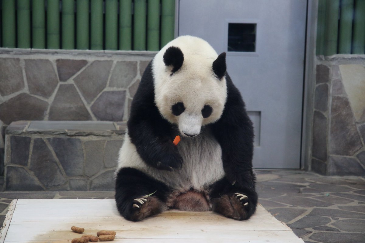 たんたんさん。ご確認お願いします タンタン