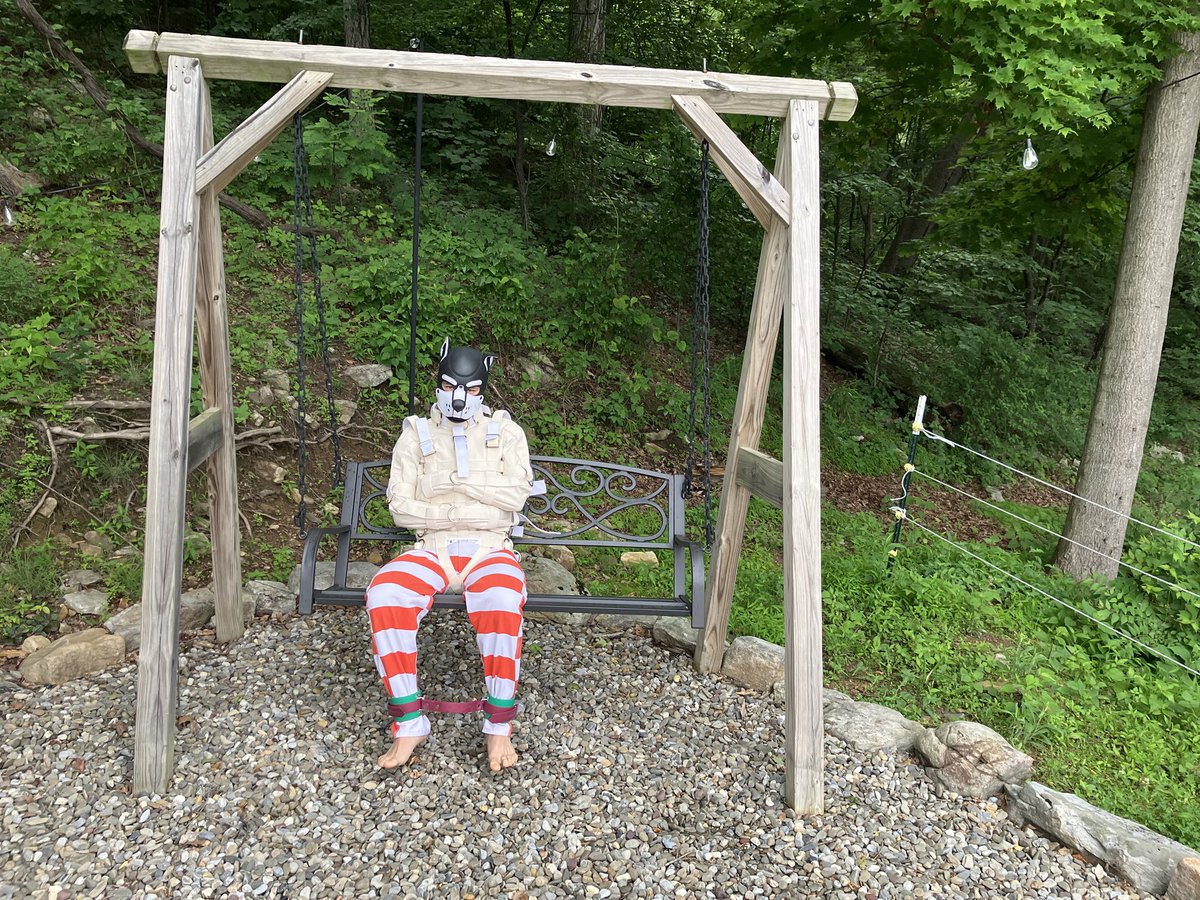 We decided to take <a href="/Liam_the_dragon/">Liam The Dragon ✨🦖</a> out of the neoprene straitjacket and put him in something more secure. I think he liked the upgrade