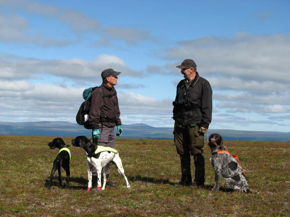 Now published in Peer Community Journal, #ecology section: Long term trend and short-term dynamics of a willow ptarmigan population
buff.ly/1F9qOmi