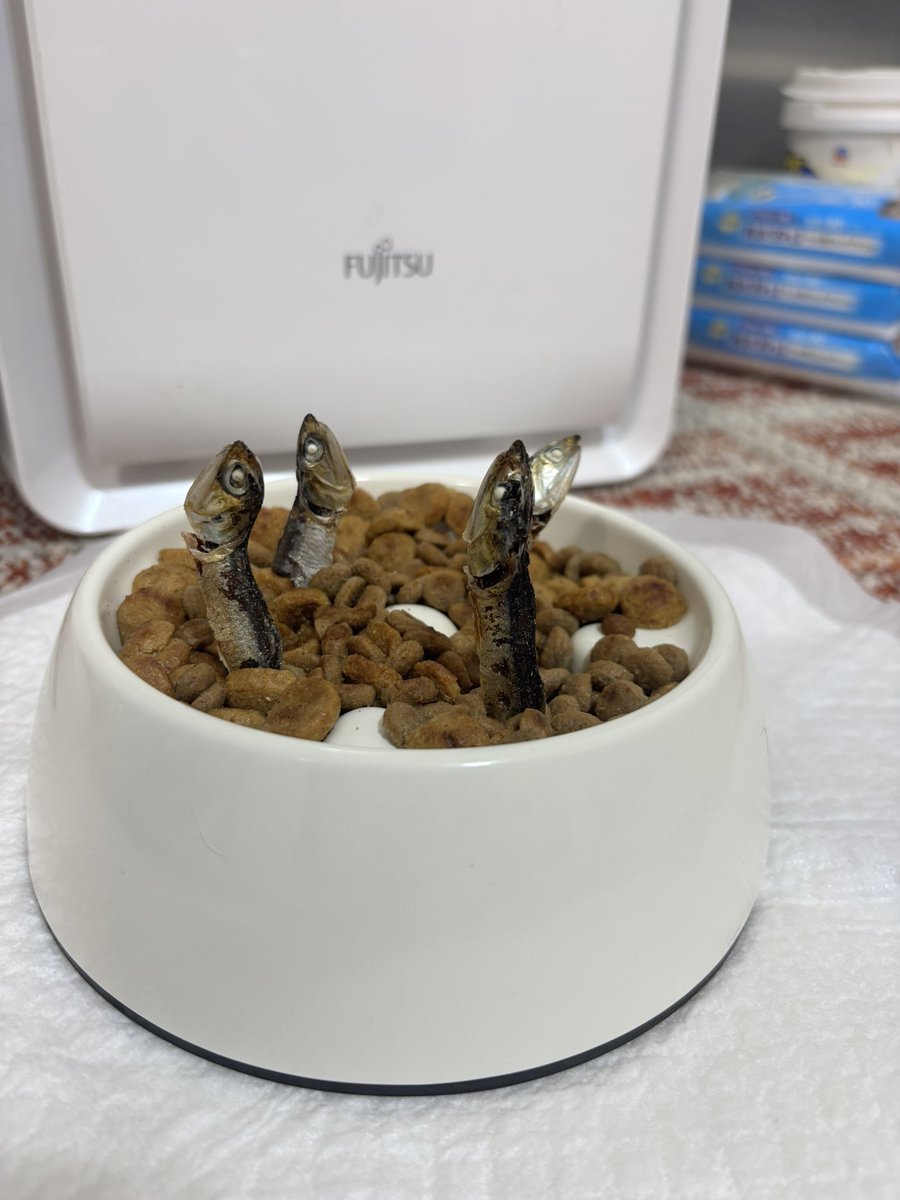 チンアナゴ風ご飯。