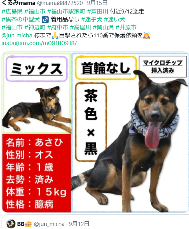 mama88872520's tweet image. あさひ君🐶無事保護出来たそうです🎉
皆様、ありがとうございました✨
#広島県 #福山市 #迷子犬 #迷い犬
