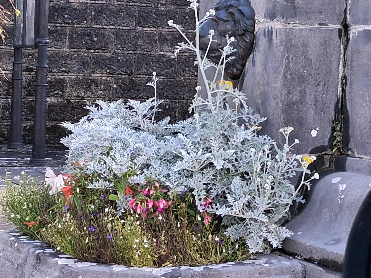 DiscoverBallyvaughan tweet media