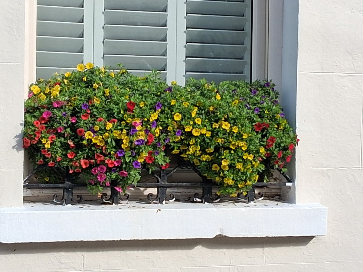 DiscoverBallyvaughan tweet media