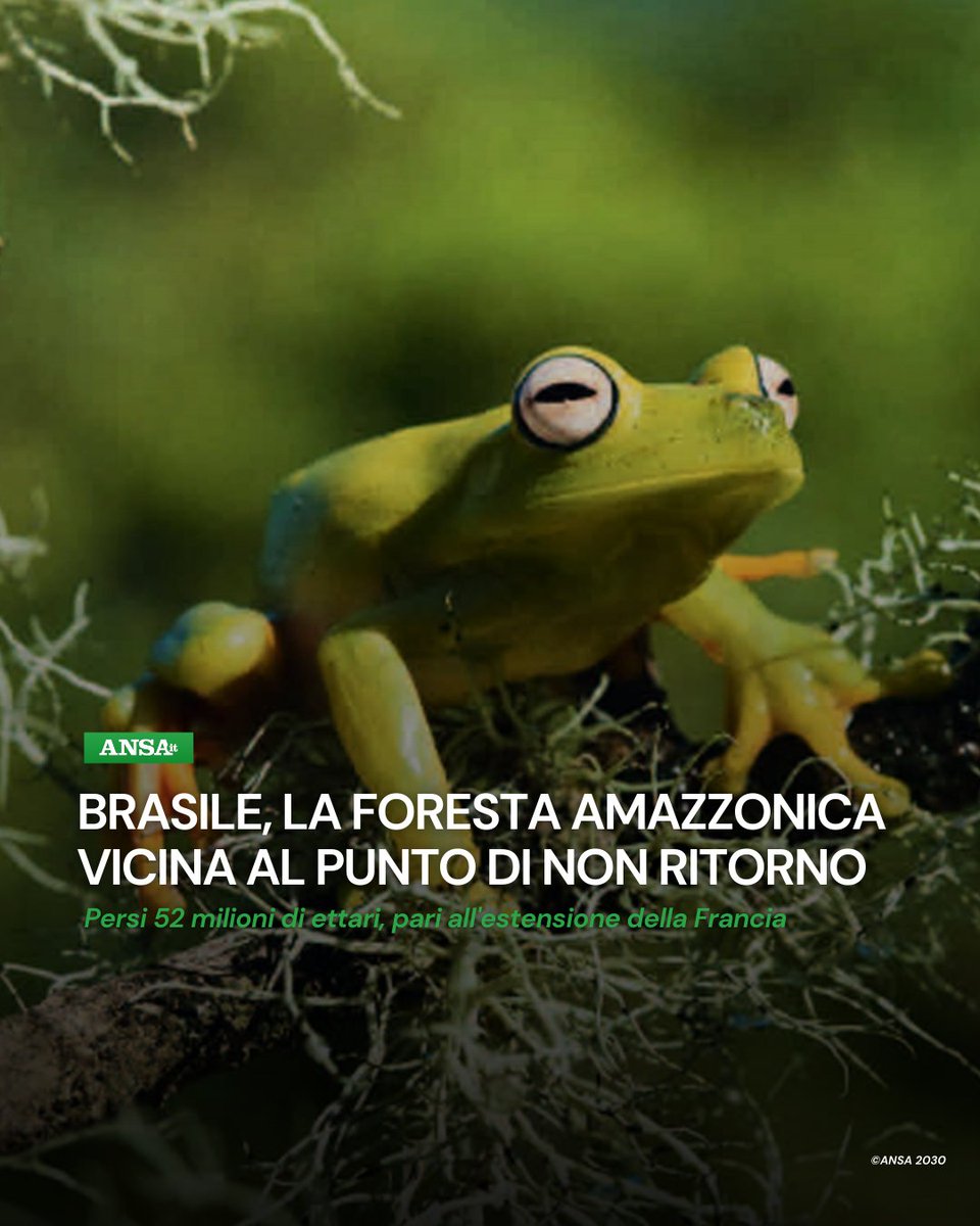 A causa di allevamento e agricoltura l'#Amazzonia brasiliana ha perso 52 milioni di ettari di vegetazione negli ultimi 40 anni. Lo rende noto un rapporto pubblicato da MapBiomas, che sottolinea l'avvicinamento al punto di non ritorno.
#ANSAAmbiente
➡ bit.ly/46m2pfL