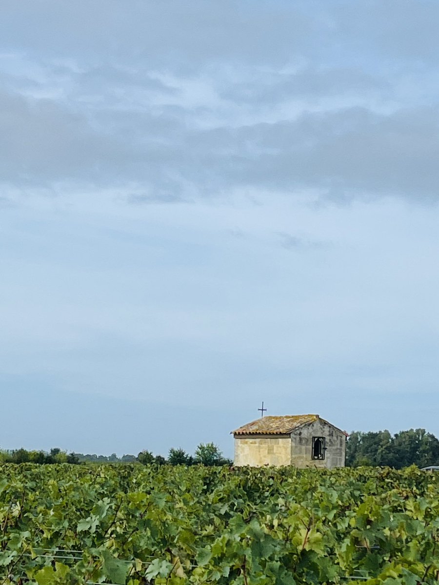 Pichon Comtesse 2025 - Day 10 - Tasting sharp ripeness of historical plate Cabs - The promise of a sunny week !!! 😋🤩🙏🏻
#PichonComtesse #TheBestIsYetToCome