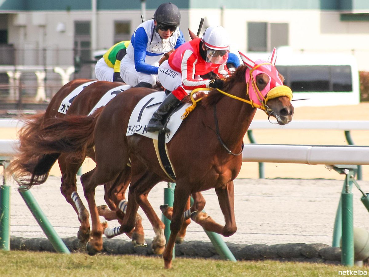 Rising Sun Syndicate 🇦🇺 tweet media