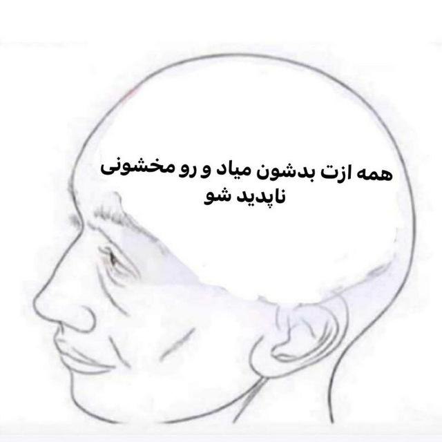 soha1031ka's tweet photo. حسی ک همیشه دارم : https://t.co/AcrAqjHH1X