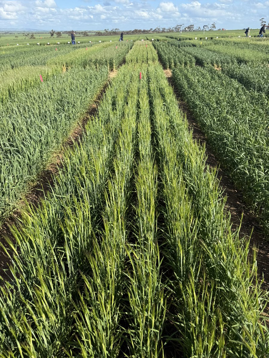 Day at the Hart Field Day, always a great day for learning and catching up with my farmer friends.