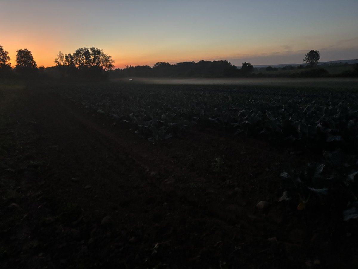 Sunrise over the farm <a href="/JamesGilbertWX/">James Gilbert</a>