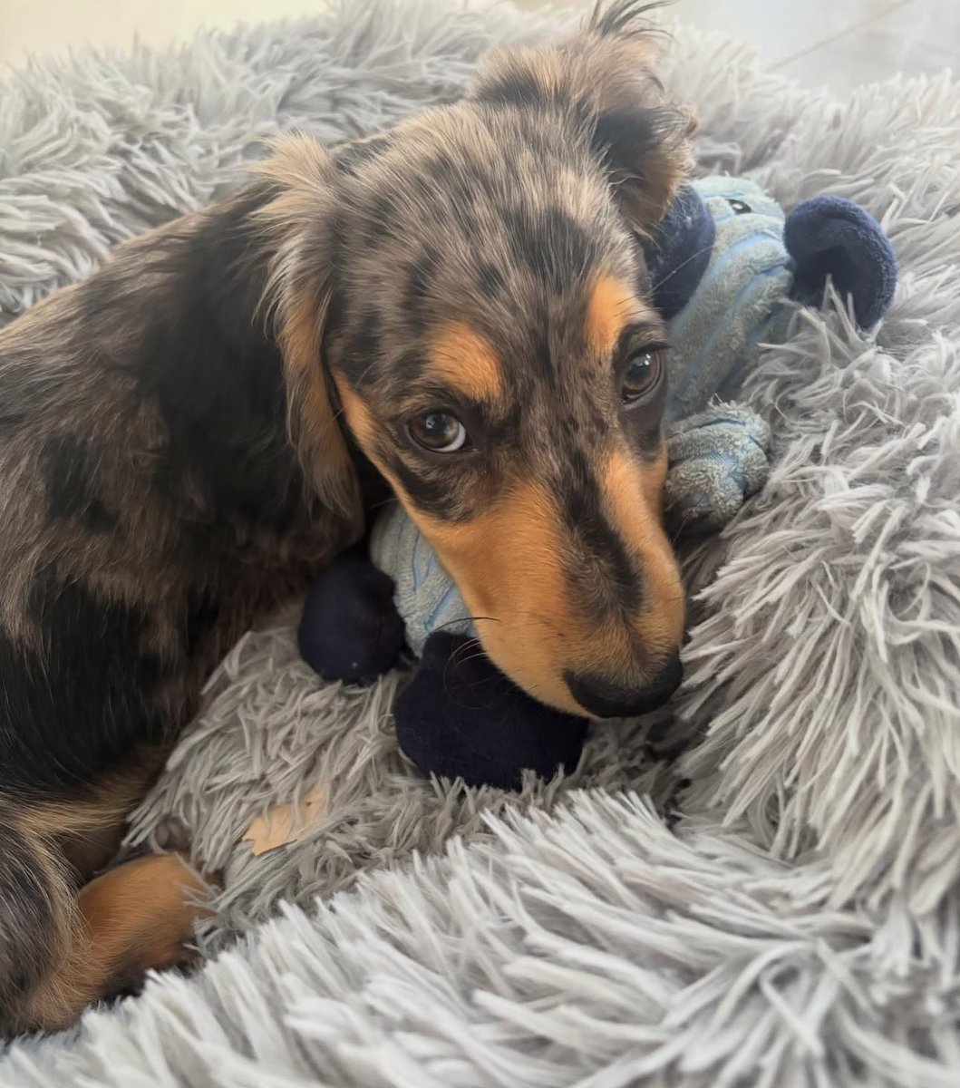 daytrader177's tweet image. Good morning 🌞 from baby blue 🤣