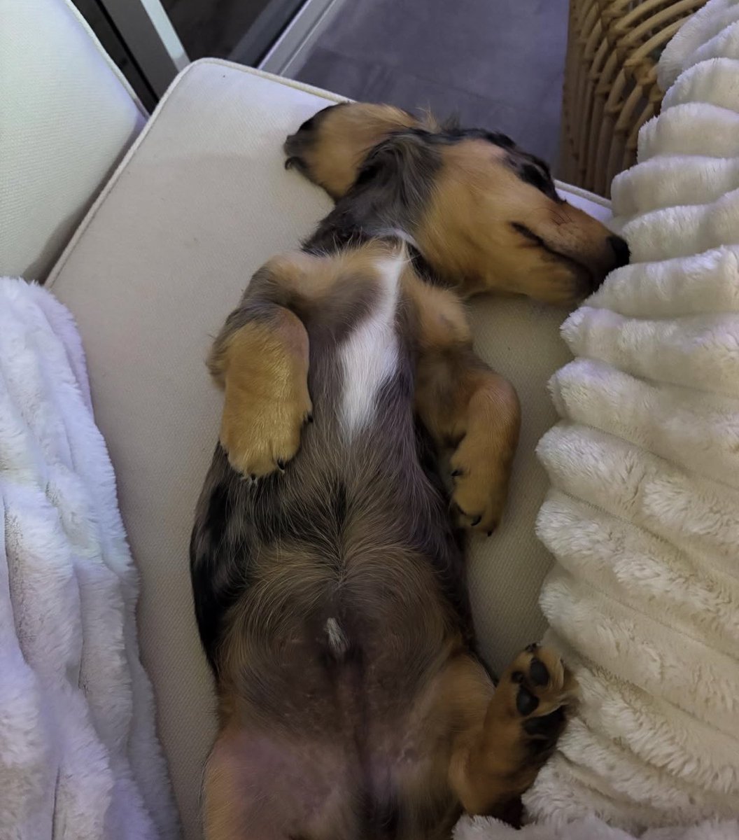 daytrader177's tweet image. Good morning 🌞 from baby blue 🤣