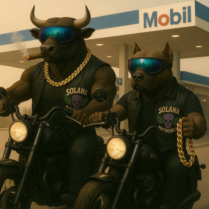 An amazing project with super  potentials that rocks the solanachain chain
$Boda is the game card