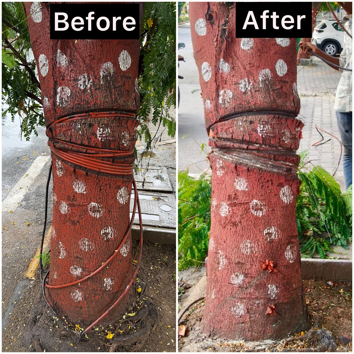 Dr. Dilipsinh Sodha (@drdilipsodha) on Twitter photo Complaint resolved.✅
Thank you, AMC. Complaint resolved.✅
Thank you, AMC.