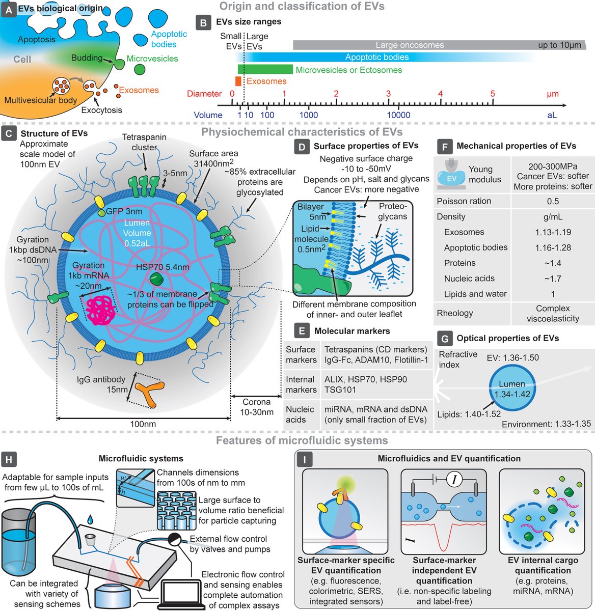 VesiclesAcids's tweet image. 🚀 Review | Open Access
💡 Our latest review explores microfluidic technologies for EV quantification—faster, more sensitive, and using minimal samples！
Read here: oaepublish.com/articles/evcna…
#ExtracellularVesicles #Microfluidics #LabOnAChip #Biomarkers #EVQuantification