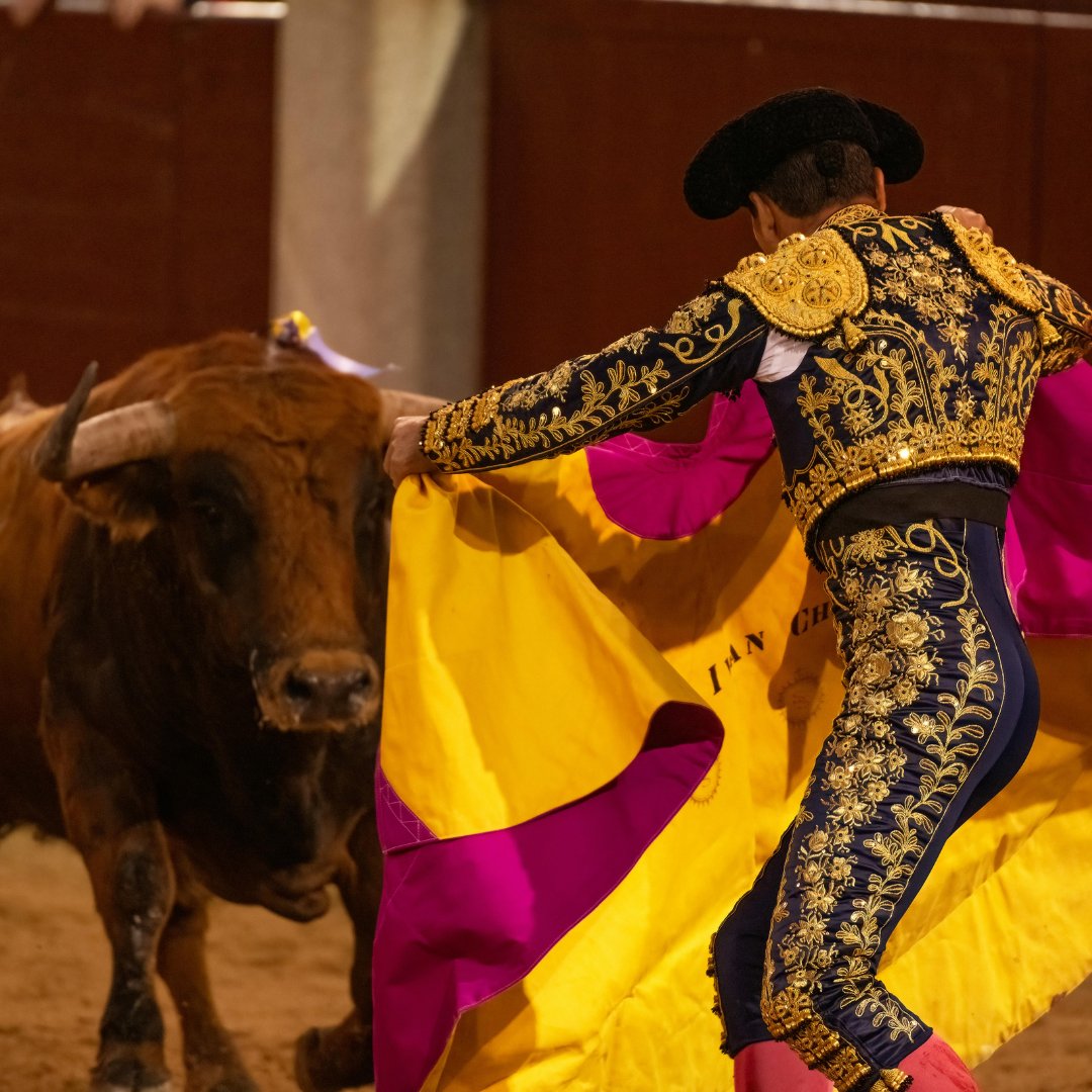El toreo no es solo valor, es un arte que combina técnica, estética y sentimiento🐂
Cada pase es un diálogo entre hombre y toro, un instante único donde tradición y emoción se funden en la arena✨
#ArteDelToreo #ToroBravo #Tradición