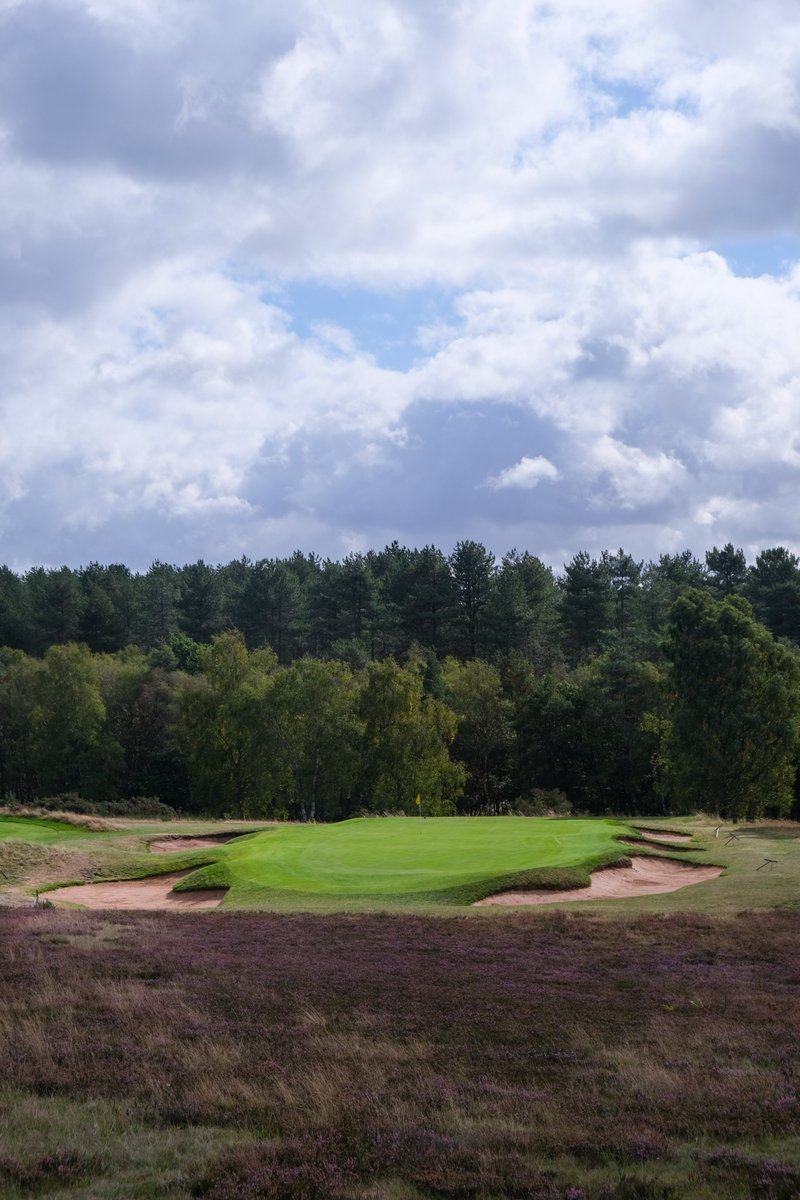 Sherwood Forest Golf Club tweet media