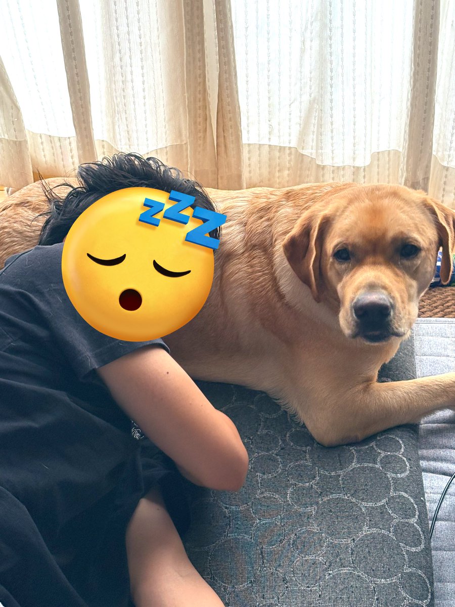 買い物から帰って来たらコレ

息子よ、いい枕見つけたな