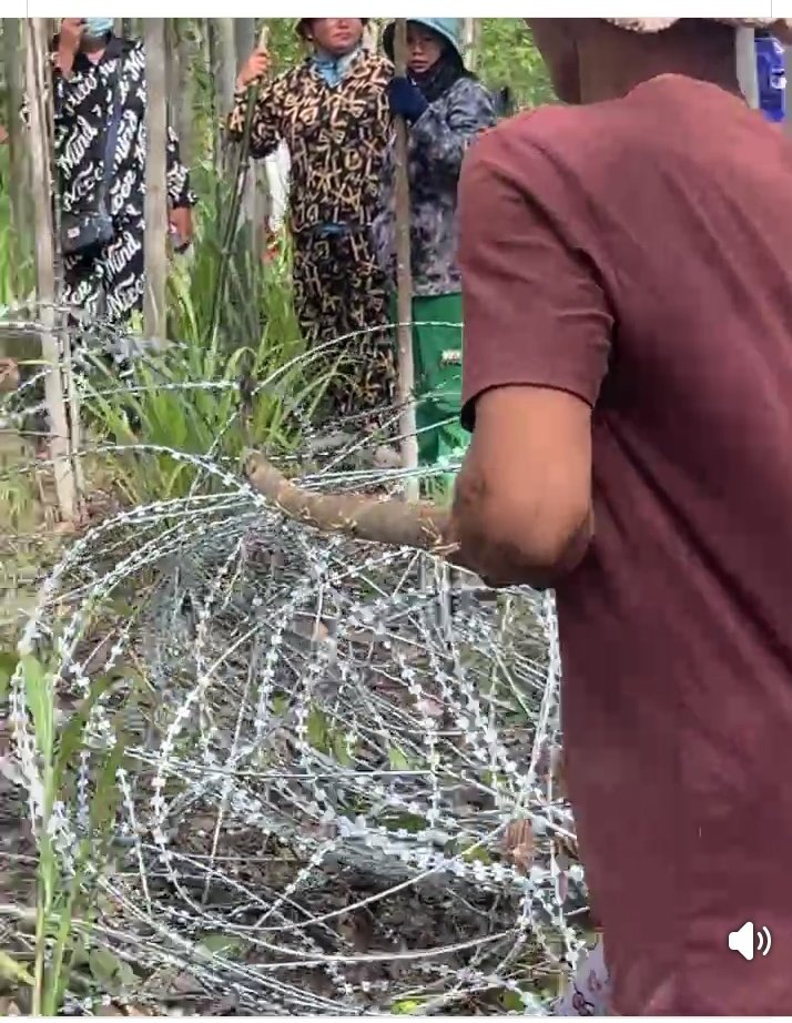 MechDara1's tweet photo. The pictures from screenshots--Thai Army had erected barbwire, which Cambodian villagers are seen attempting to remove with wooden sticks, bamboo sticks, or their bare hands. Despite the ceasefire, border tensions are still high. https://t.co/mdhDcxbkFA