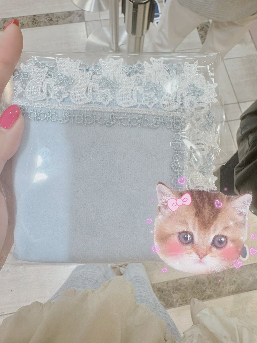 近沢レース×靴下屋のコラボ
GET🐾🤍🩵