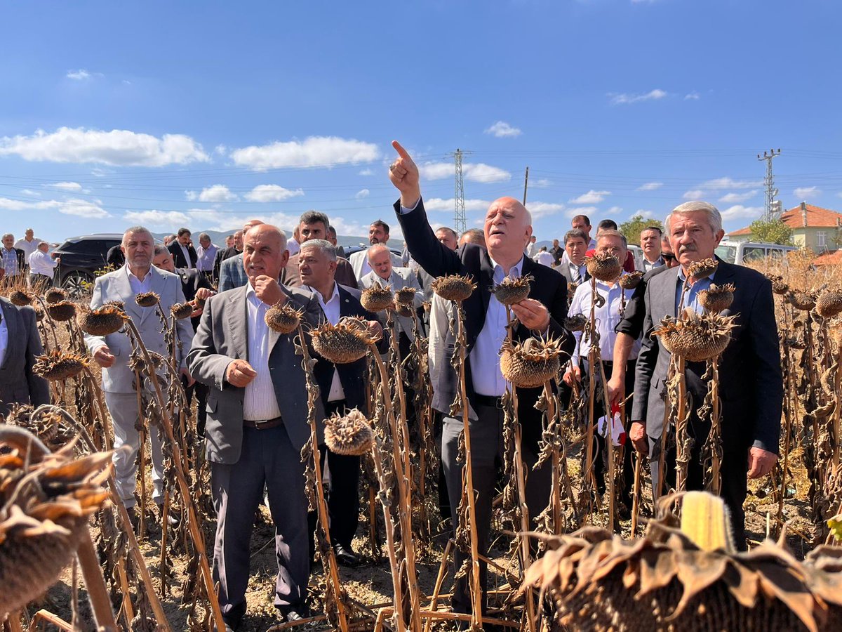 Samsun’un Havza ilçesinde kuraklıktan etkilenen ayçiçeği tarlalarında incelemelerde bulunduk. Rekolte kayıplarını yerinde gördük, çiftçilerimizin yanında olmaya, sesini duyurmaya devam edeceğiz.