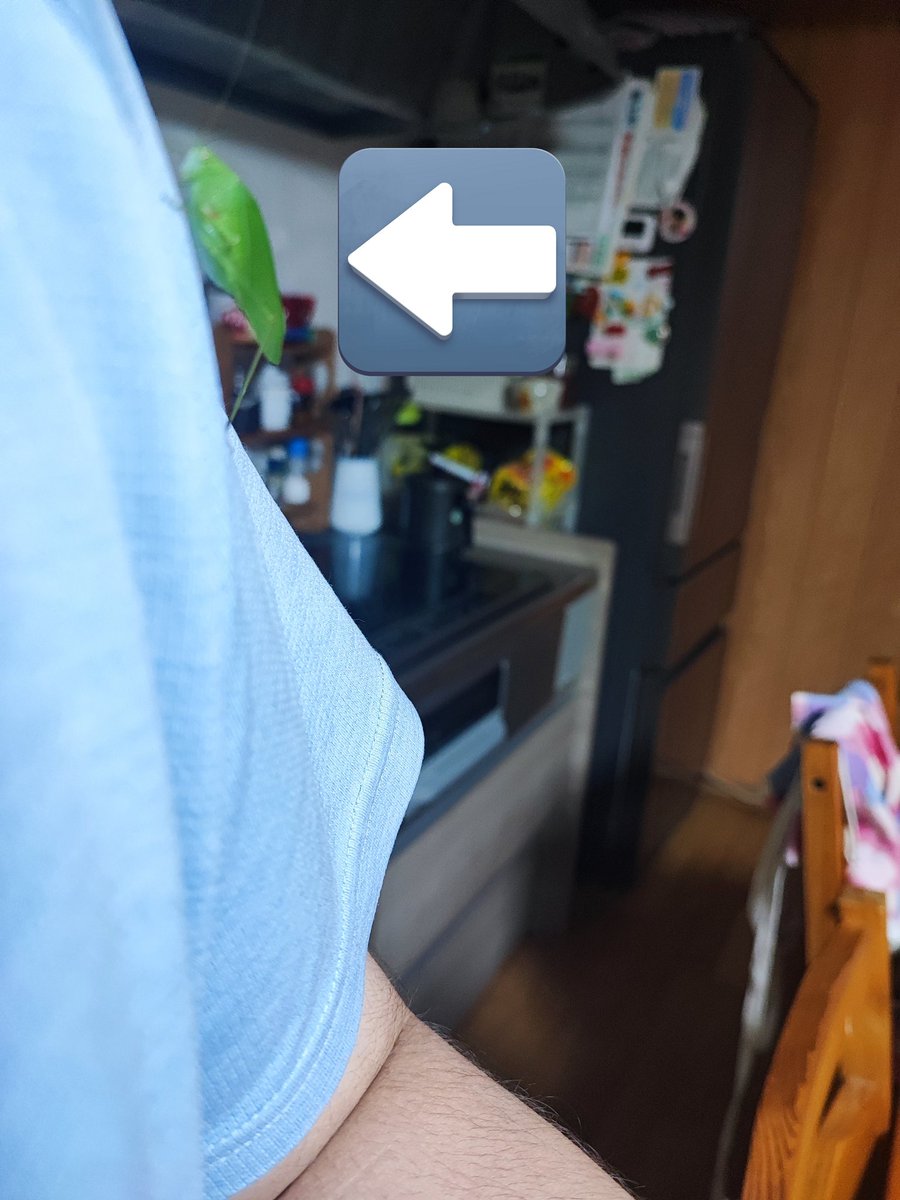 家の壁にカマドウマいるなと思ってたらいつの間にかくっついてた笑
やたら最近虫がくっついてくる
タマムシが帽子に乗ってきたり

樹液臭でもしよるんか…