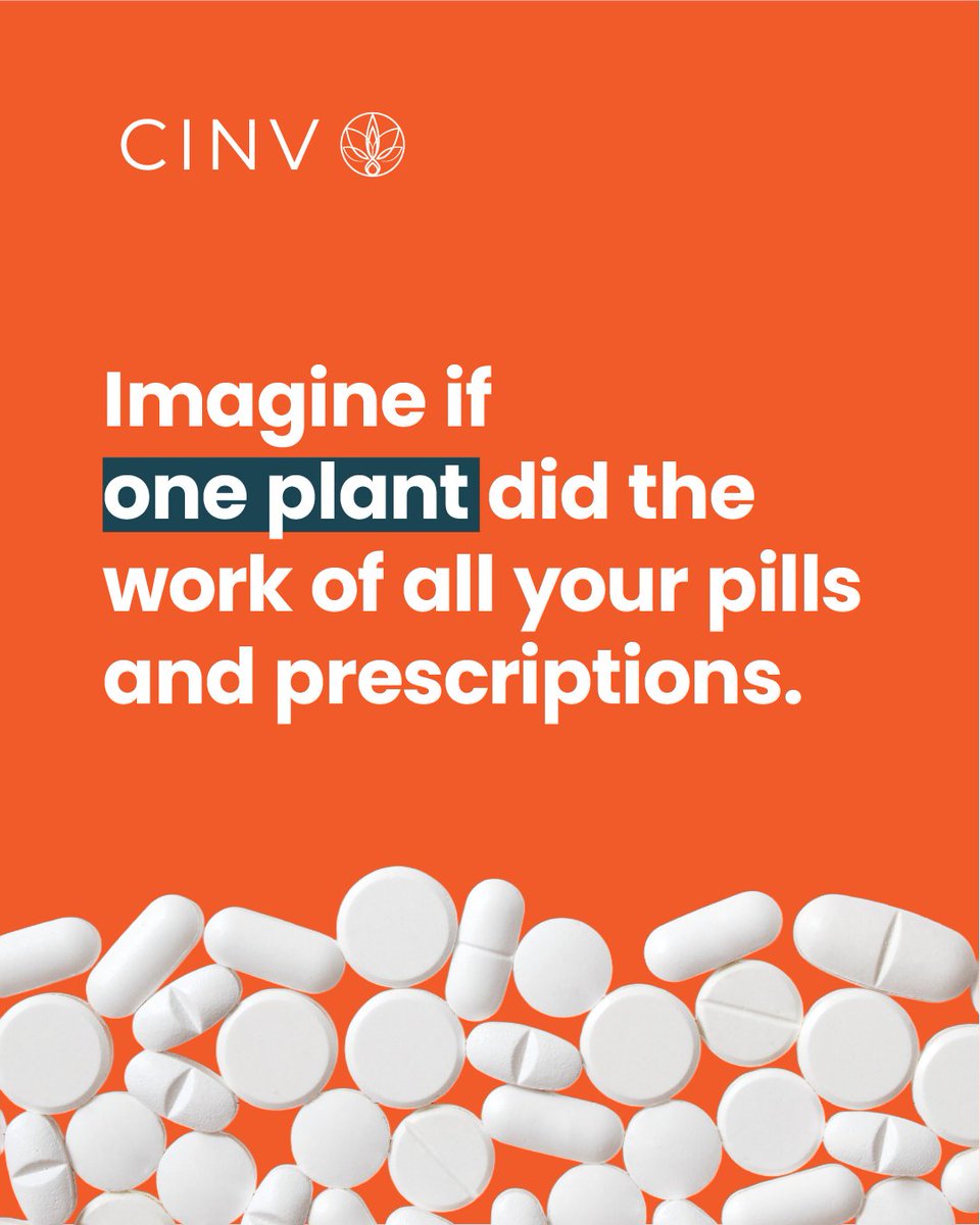 Imagine if one plant did the work of all your prescriptions. 💊🌱
For many — it already does.