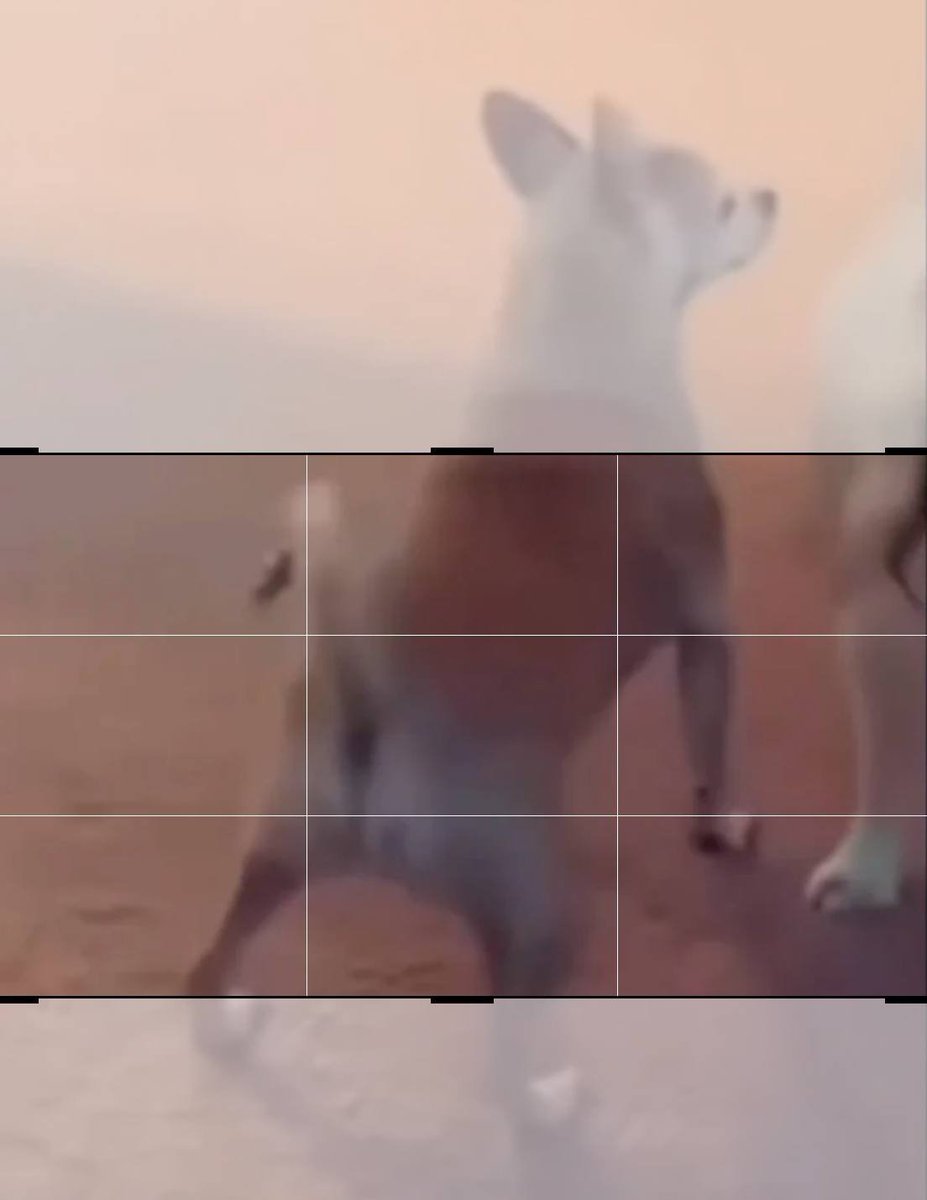 GAWK_GAWK__'s tweet image. Every time they talk crypto… all we hear is 👉 GAWK GAWK DOGE 🐶

🎤 The sound-meme that makes markets fun again.

Stay tuned for upcoming massive updates!!! 

#GAWK #DOGE #MemeCoin $GAWK