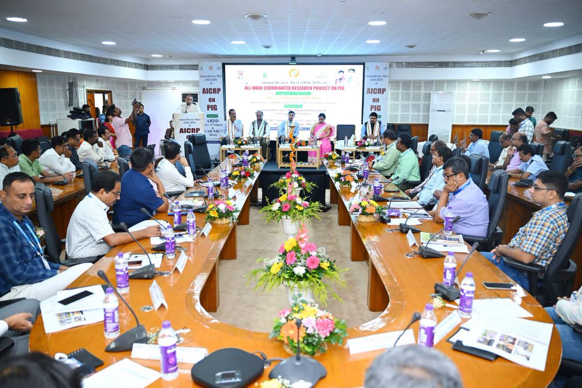 ARDD_TRIPURA's tweet photo. Shri @MinSudhangshu,Hon’ble Minister of ARDD, inaugurated the event, emphasizing key progress and the importance of collaborative research in pig development. Experts like Dr. N.H. Mohan and Dr. V.K. Gupta shared insights on breeding, conservation, and project updates.[2/3] https://t.co/SA3J1IFDnT