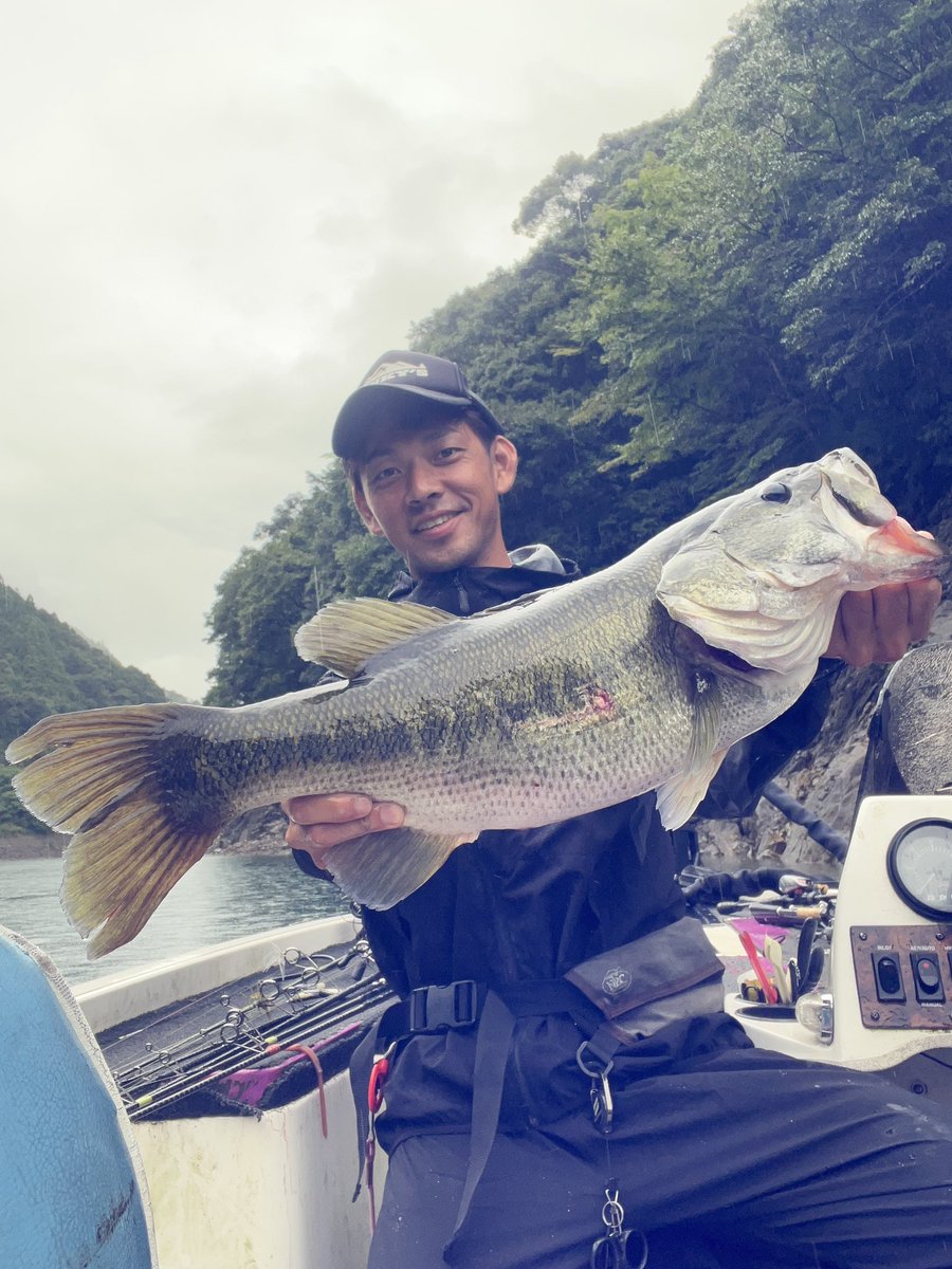 11seasky11's tweet photo. 雨や曇りが続き
水温上昇が落ち着いたおかげか60.57.56とシャローでデカいのが釣れた2日間の釣行でした😁

#池原ダム #バス釣り　#バスフィッシング https://t.co/DDpaWHDoQf