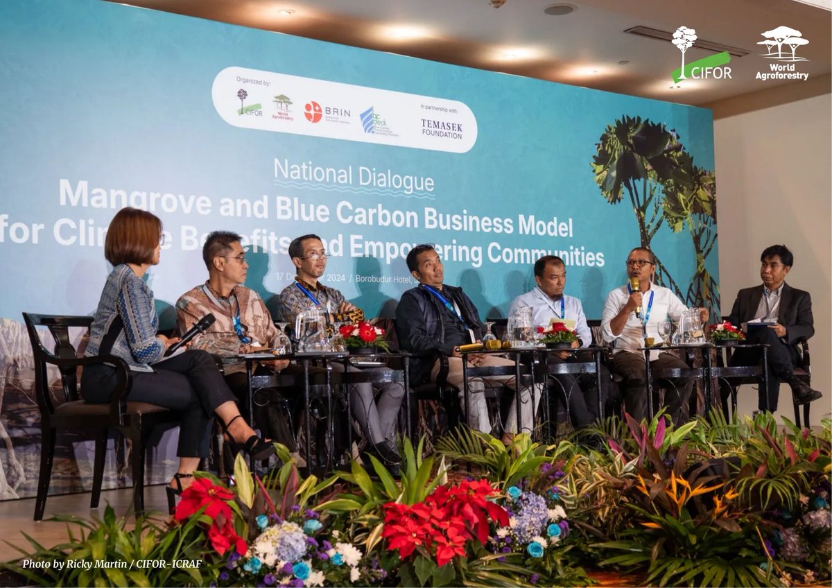 How viable is carbon trading for the mangrove business?

Carbon trading sparks debate—some see opportunity, others stress that climate adaptation and mangrove protection must come first.

Read more:➡️ bit.ly/42Xm0kA

#Trees4Resilience