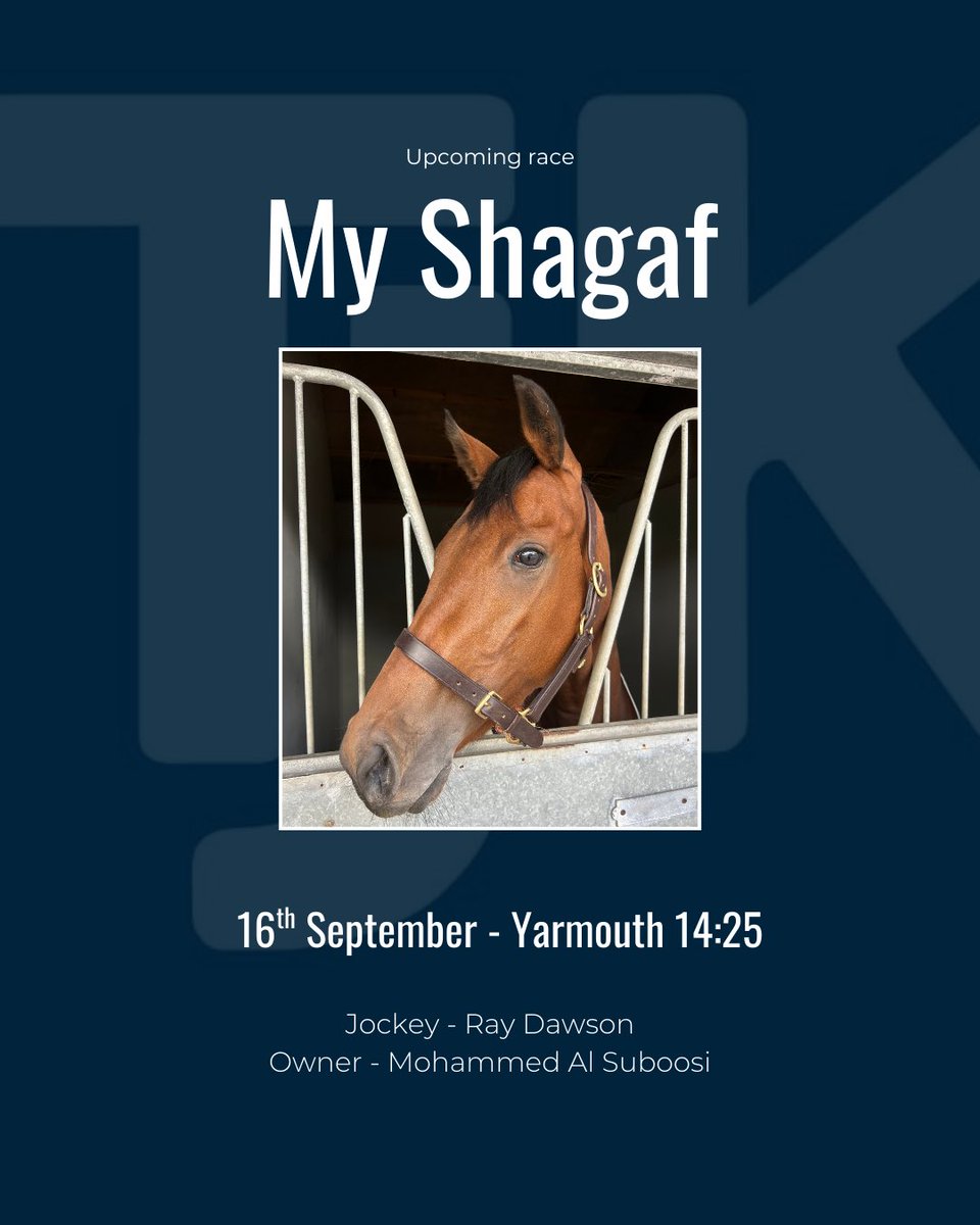 TJKentRacing tweet media