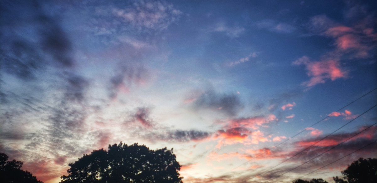 Sapo Man Photography 😃 tweet media