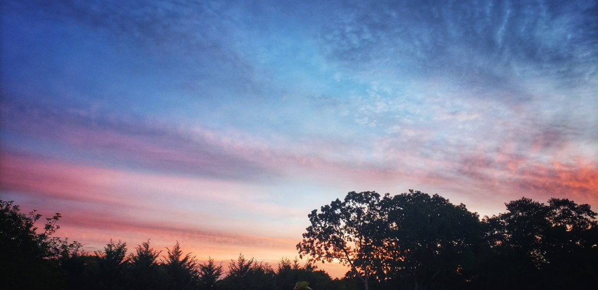 Sapo Man Photography 😃 tweet media