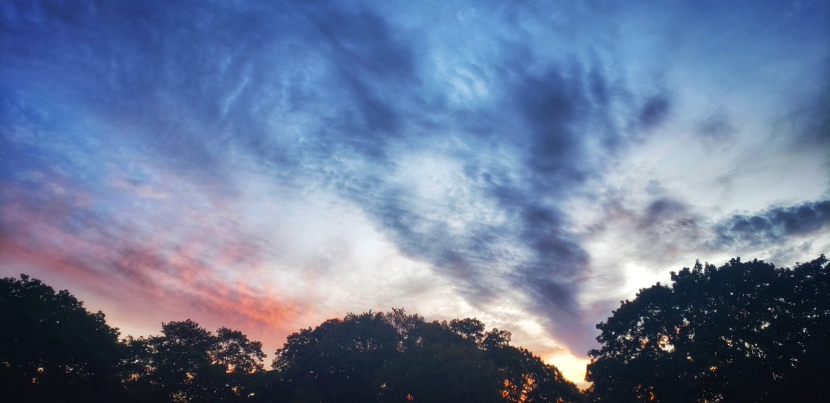 Sapo Man Photography 😃 tweet media