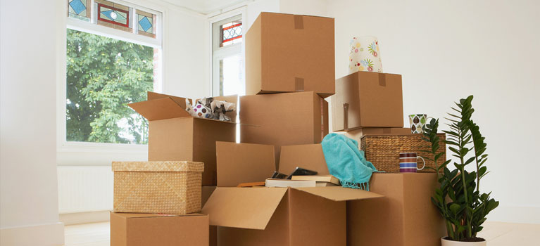 AndrewJohn15653's tweet image. Jp Noble Movers is one of the best local moving companies you can trust! We offer efficient and professional moving solutions tailored to your schedule. Visit Now: jpnoblemovers.com/moving-tips.php

#LocalMovingCompanies #JpNobleMovers #MovingServices #HomeRelocation #StressFreeMove
