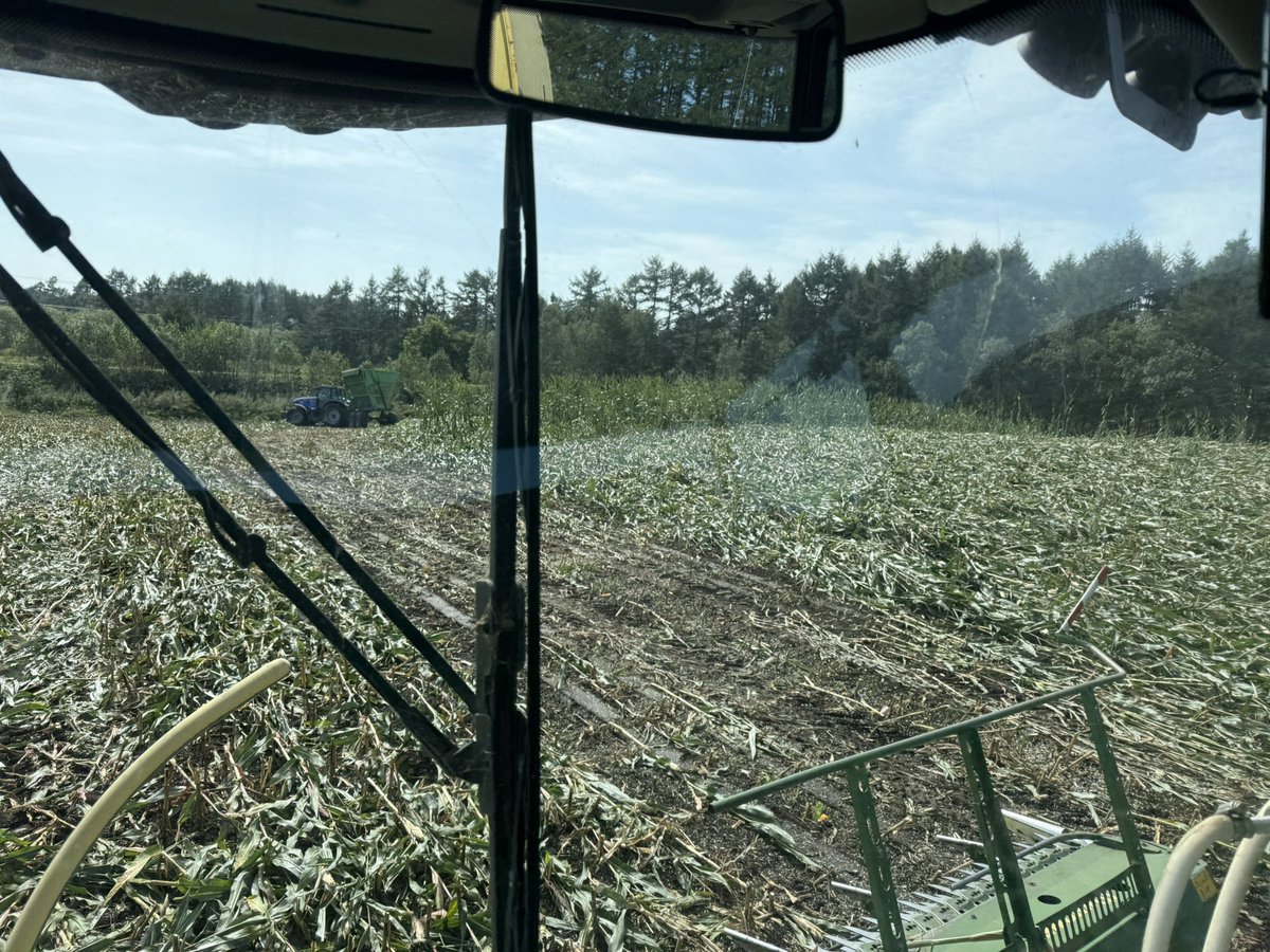 でかいヘッドはこーゆー時不便😭😭