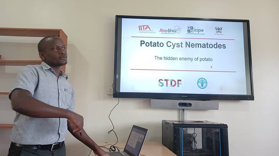 Day 2 of the ongoing PCN diagnostics training is underway at the National Plant Health Diagnostics Laboratories, Namalere – Uganda.
Together with partners under STDF project, we are strengthening diagnostic capacity to tackle Potato Cyst Nematodes. <a href="/FAOKenya/">FAO in Kenya</a> <a href="/IITA_CGIAR/">IITA</a> <a href="/icipe/">icipe</a>