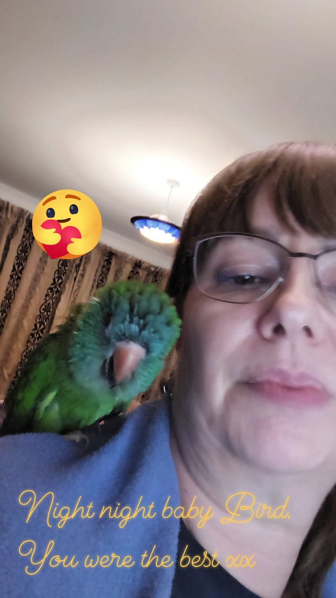 Charlie passed away yesterday. Our best bud for 30 years. Already missing her so much 😢