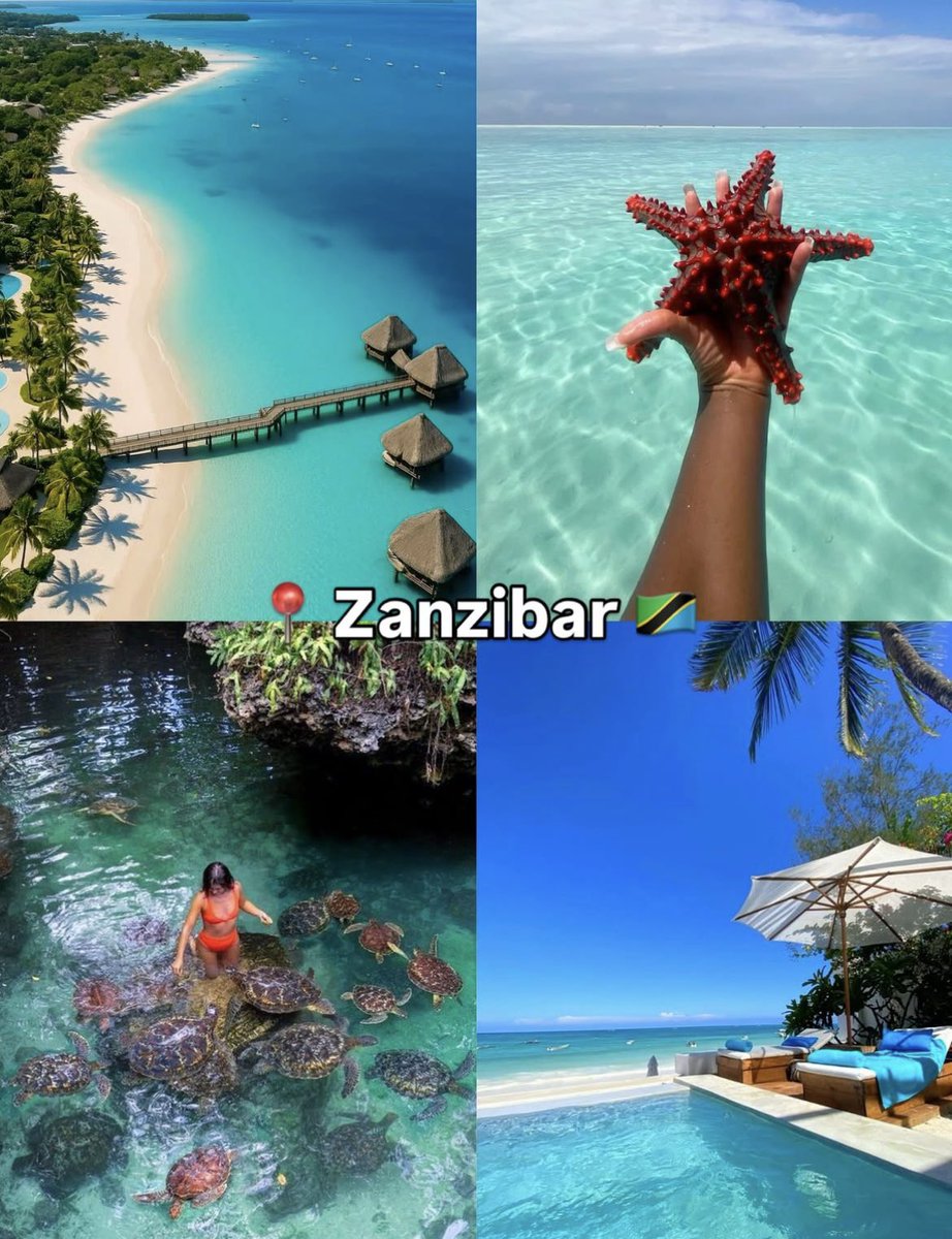 skyrangeholiday's tweet photo. Which of these destinations do you want to see with Skyrange Holidays? Tell us in the comments section
For Bookings & Enquiries, contact us today!
Call/ WhatsApp: +233 54 412 3010 | +233 54 416 5755
E-mail: info@skyrangeholidays.com
#SkyrangeHolidays #TravelSmartSpendLess https://t.co/2do6U2y4Hr