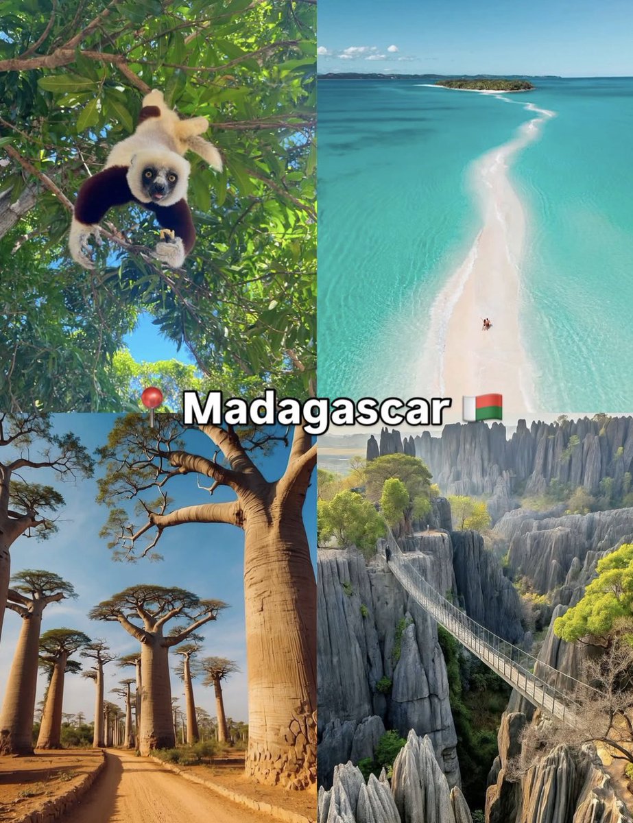 skyrangeholiday's tweet photo. Which of these destinations do you want to see with Skyrange Holidays? Tell us in the comments section
For Bookings & Enquiries, contact us today!
Call/ WhatsApp: +233 54 412 3010 | +233 54 416 5755
E-mail: info@skyrangeholidays.com
#SkyrangeHolidays #TravelSmartSpendLess https://t.co/2do6U2y4Hr