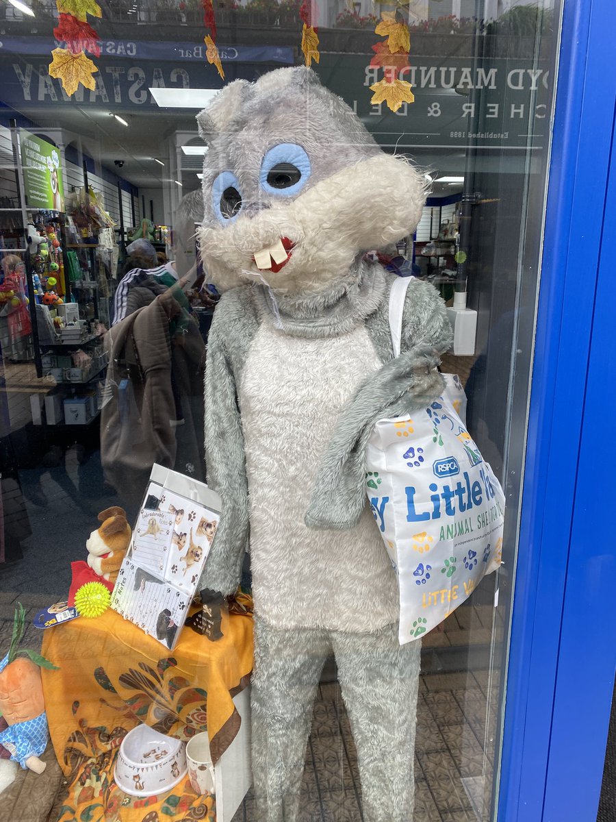 Found a mascot outfit for <a href="/Kylo2503/">Kyle Moxham</a> at <a href="/BLFC1907/">Badshot Lea FC</a>