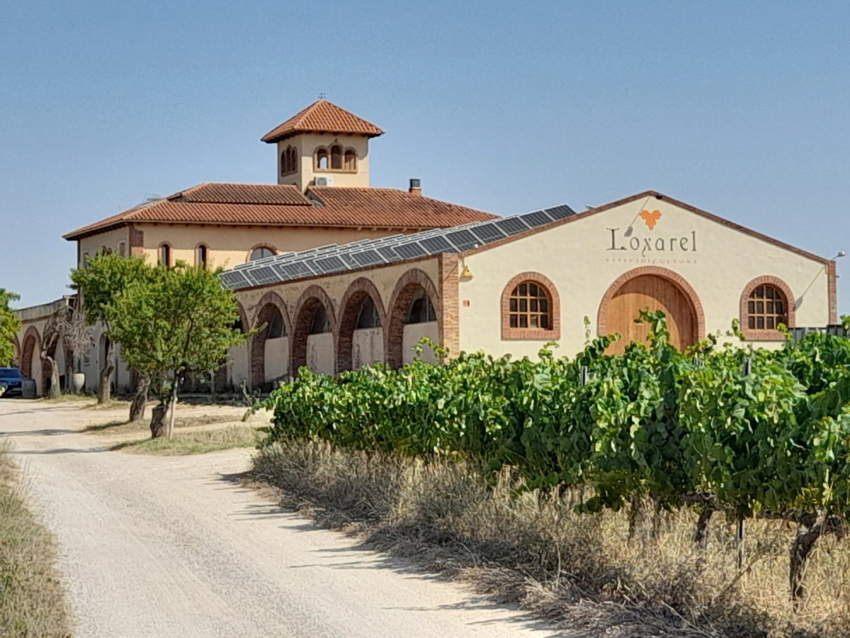 Cupatges tweet media