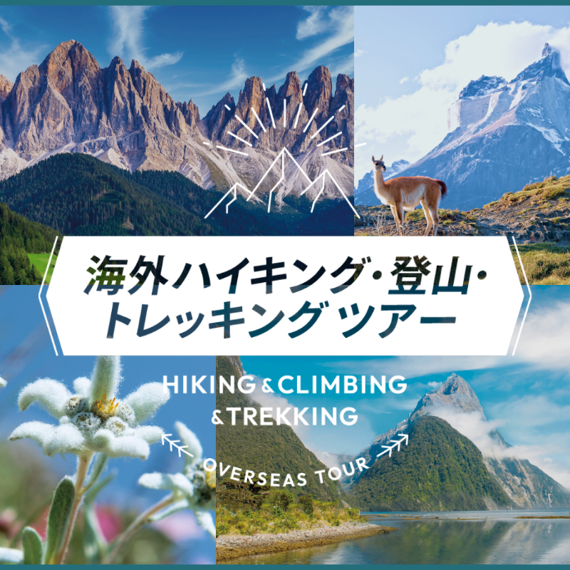 ✈ニュースリリース】 2026年海外ハイキングの旅を発売⛰ 世界の各地域