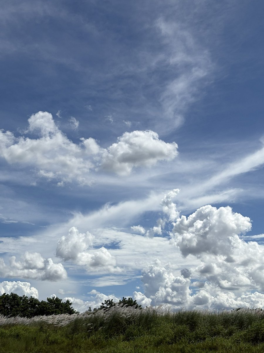 peebscat's tweet photo. A few seconds of peace. 🤍☁️ https://t.co/sEqDecfMxw