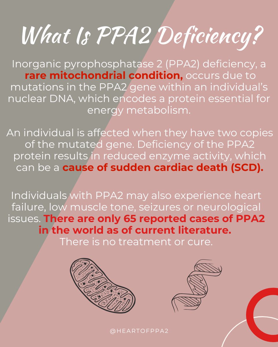 RareRevolutionM's tweet image. PPA2 Deficiency is a rare mitochondrial condition caused by a mutation in the PPA2 gene that can result in sudden cardiac arrest. There are only 65 reported cases worldwide as per current literature.  #PPA2 #TuesdayTakeover #RareDisease #Genetics #PatientAdvocacy