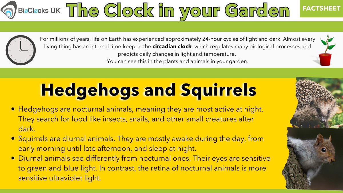 BioClocksUK tweet media