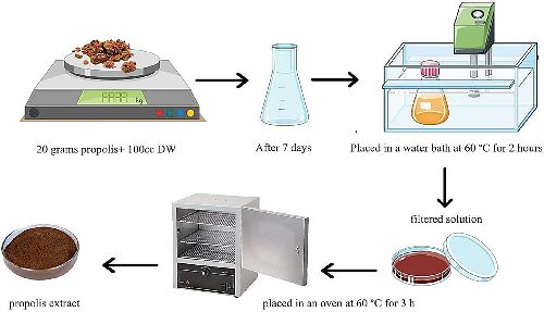 MicrobioSoc's tweet image. The antimicrobial activity of propolis extract on Klebsiella pneumoniae and Escherichia coli strains isolated from Qazvin hospital personnel. Discover more in JMM: doi.org/10.1099/jmm.0.… #JMedMicro