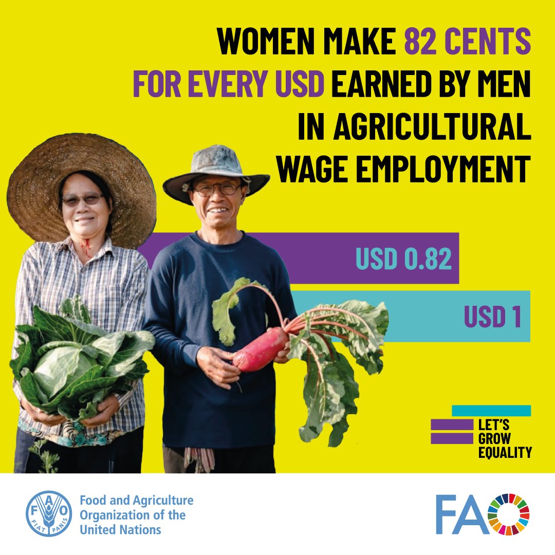 FAO's tweet photo. Closing the wage gap for women is key to building prosperous, sustainable, and equitable agrifood systems 👩🌾💰👨🌾
Learn more about @FAO’s work: https://t.co/sYf11BN7fU
#EqualPayDay #LetsGrowEquality #YearOfTheWomanFarmer #IYWF2026 https://t.co/GYD4wOzO1d