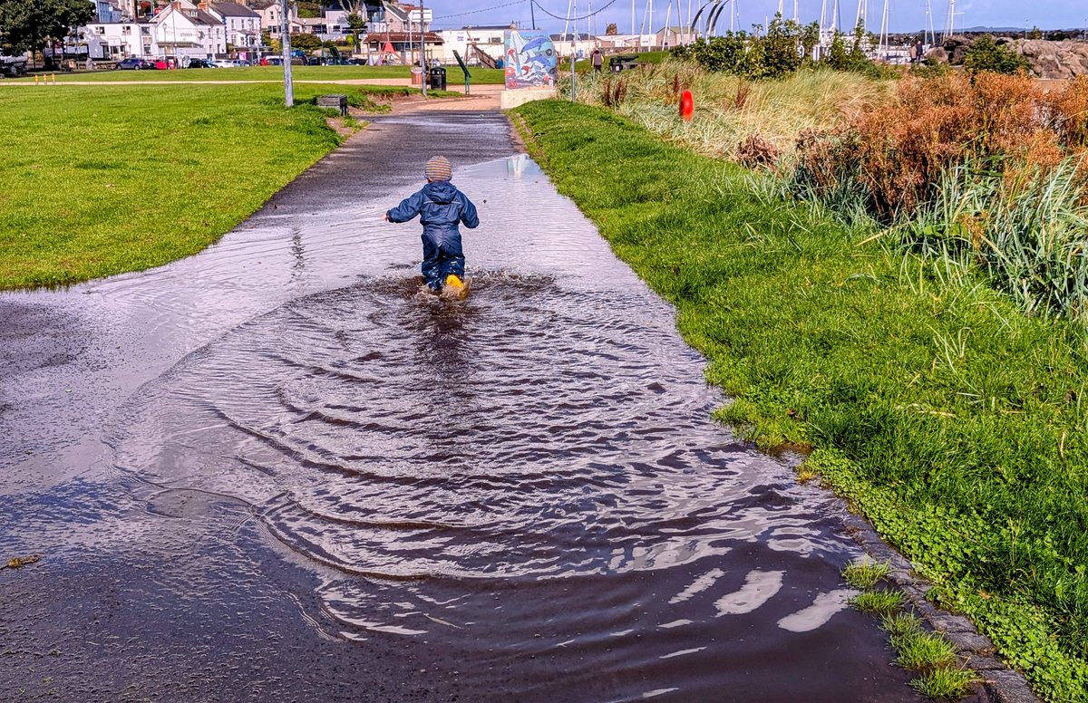 This little guy was really enjoying the big puddle at Ballycastle Seafront  <a href="/deric_tv/">Deric</a> <a href="/R_Faragher/">Rick Faragher</a> <a href="/linzilima/">Linzi Lima</a> <a href="/bbcweather/">BBC Weather</a>  <a href="/LoveBallymena/">Love Ballymena</a> <a href="/WeatherCee/">Cecilia Daly</a>    <a href="/Louise_utv/">Louise Small</a>  <a href="/WeatherAisling/">Aisling Creevey</a> <a href="/barrabest/">Barra Best</a> <a href="/Ailser99/">Aileen Moynagh</a>  <a href="/angie_weather/">angie phillips</a> <a href="/geoff_maskell/">Geoff Maskell</a> <a href="/organicbotanic/">Sue McBean - @organicbotanic.bsky.social</a> <a href="/Schafernaker/">Tomasz Schafernaker</a> <a href="/Ali_Totten/">Ali Totten</a>