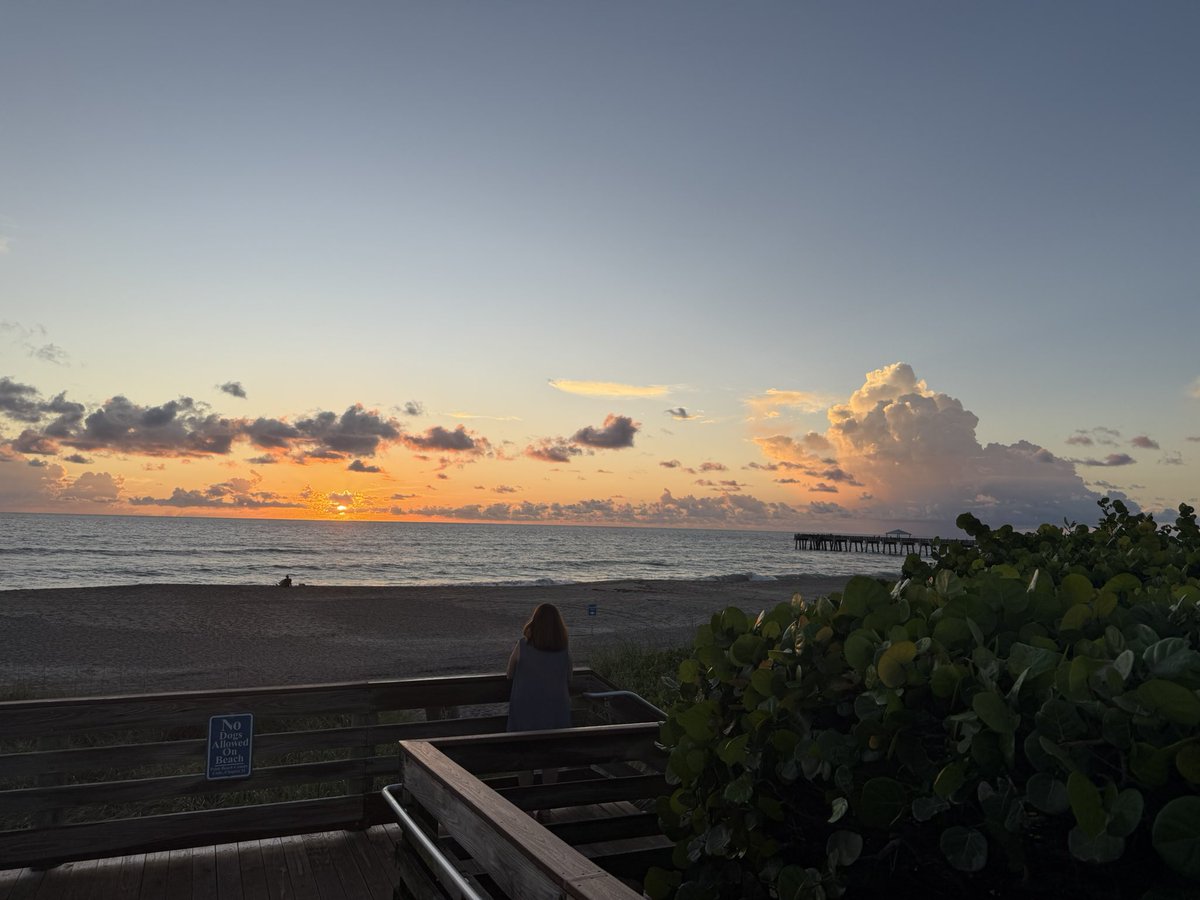 Matt Disney (@disney_lab) on Twitter photo 